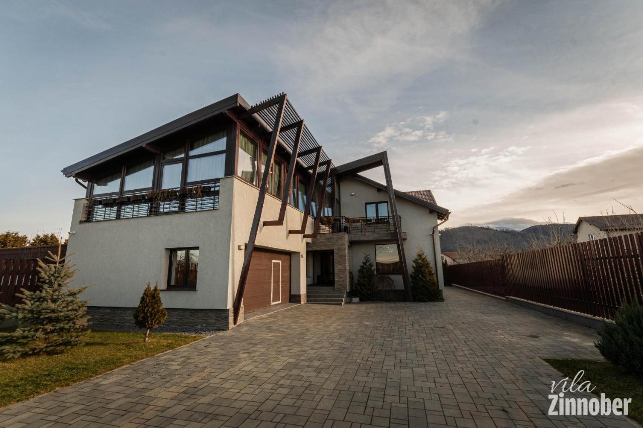 Vila Zinnober Brasov Exterior photo
